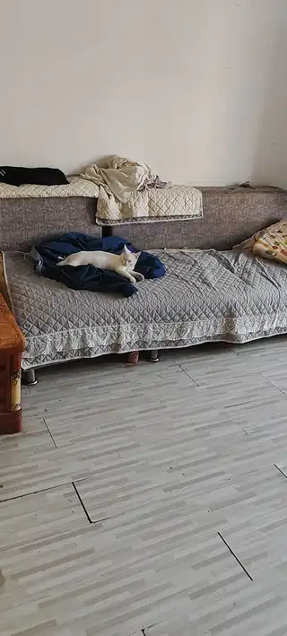闲置物品有需要的可以联系我给钱就卖价钱你说了算.电话☎156****2500刘