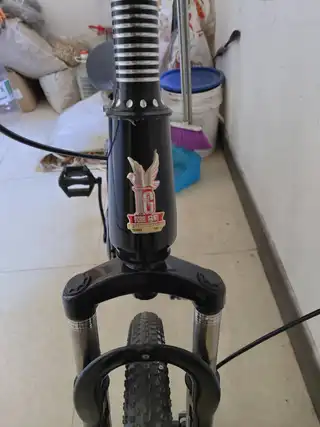 飞鸽自行车型号20的，买新车没骑几回，不是变速的，在长兴岛三堂
