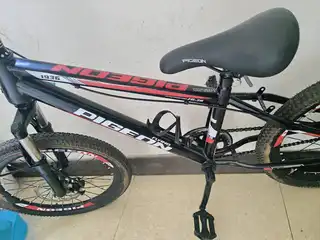 飞鸽自行车型号20的，买新车没骑几回，不是变速的，在长兴岛三堂