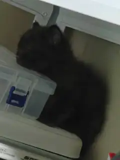 测试