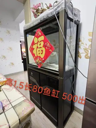 清闲置入户玄关画150元9.5成新，因搬家外地带不走，含泪转有缘人