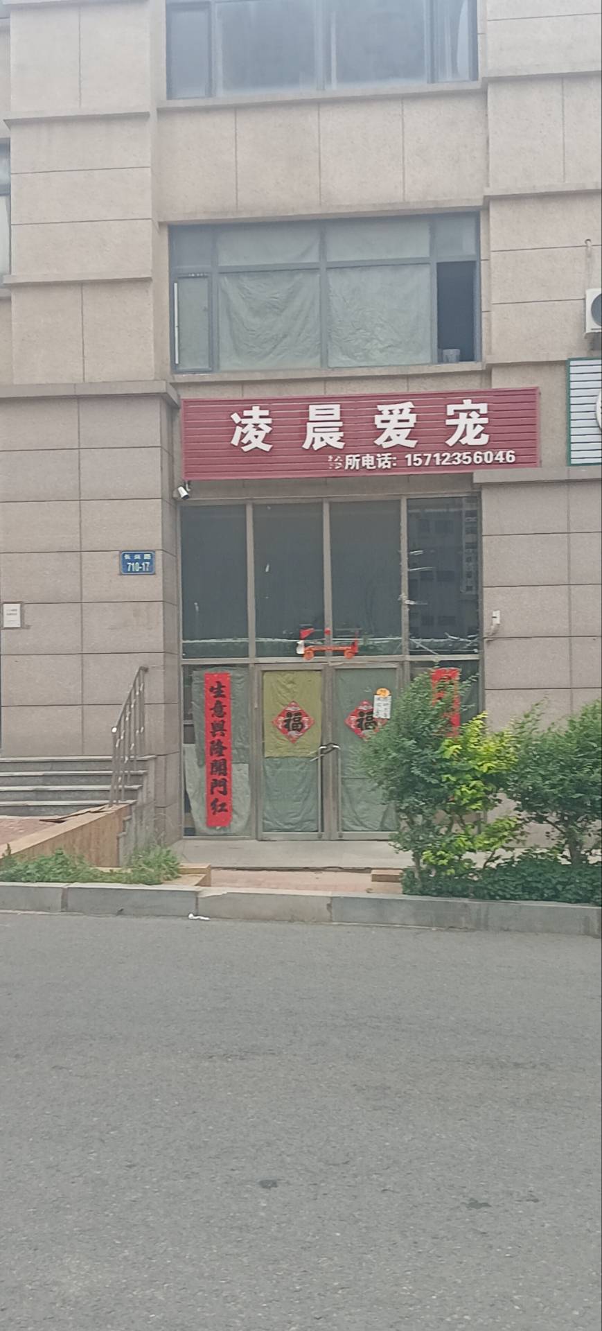 凌晨爱宠
