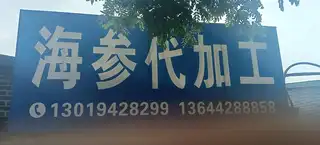 海参代加工