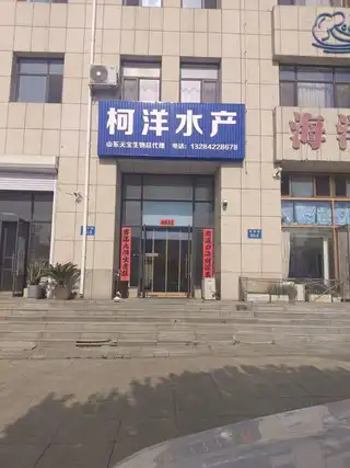 柯洋水产