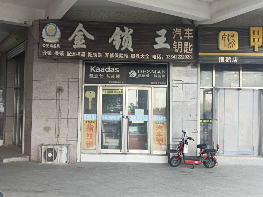 金锁王（银鹅）