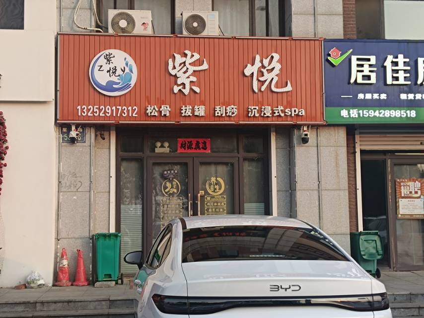 紫悦