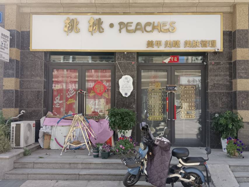 桃桃美学