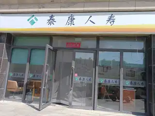 泰康人寿（嘉恒国际）