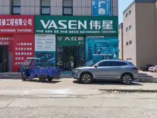 伟星