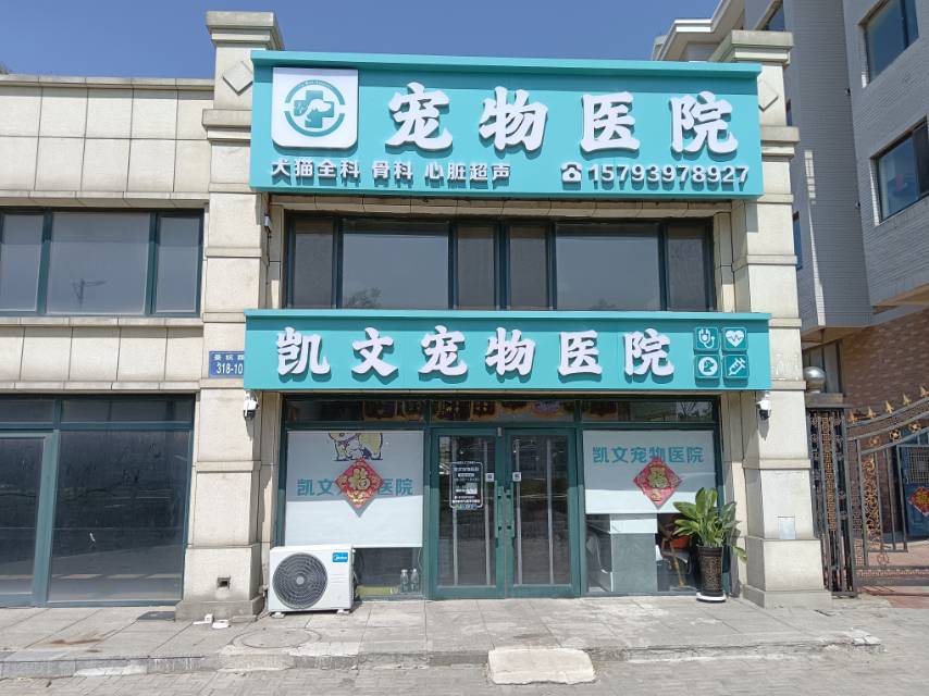 凯文宠物医院