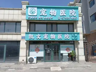 凯文宠物医院