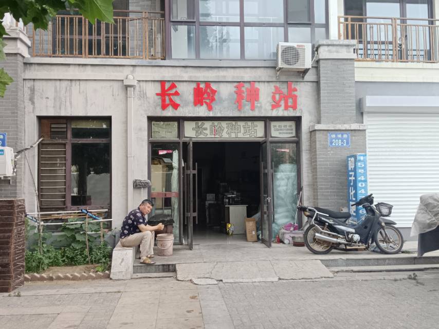 长岭种站