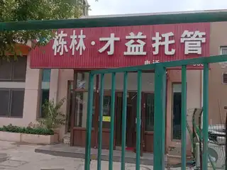 栋林.才益托管