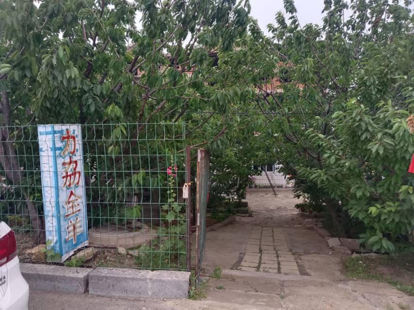 力劦全羊