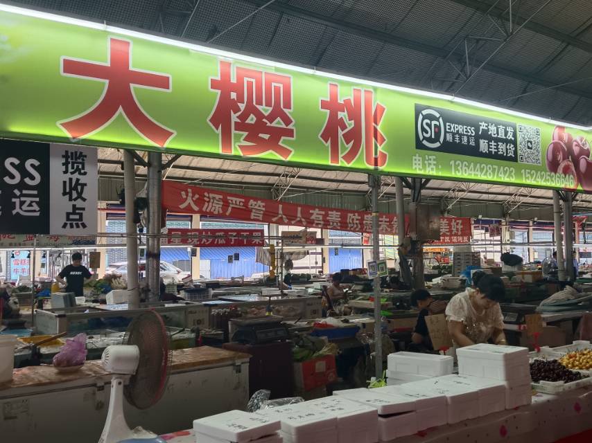 大樱桃