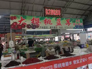 大樱桃 蓝莓 （长兴231号）