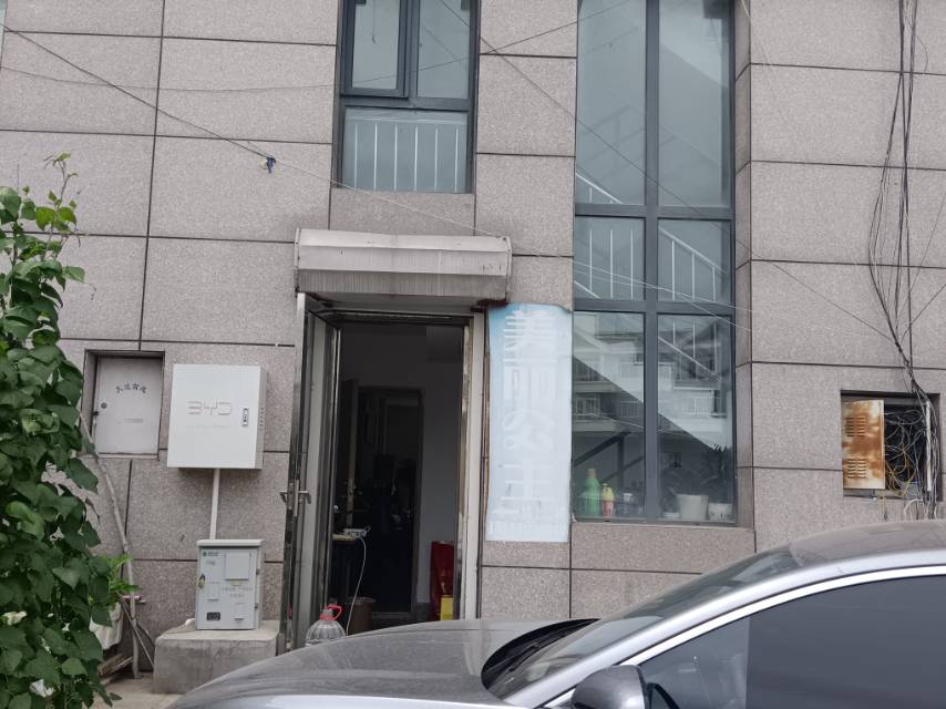 美丽公主（银鹅后身）