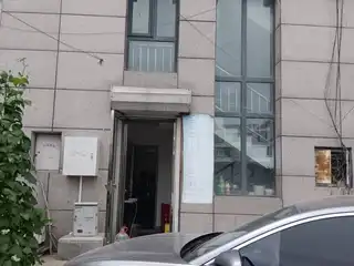 美丽公主（银鹅后身）