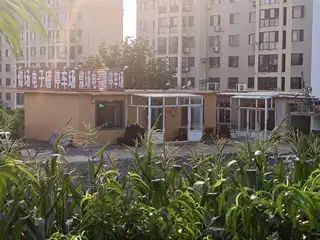 煤场 电子磅 停车场