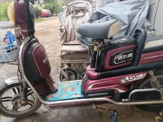 闲置电动车！新电瓶新充电器！车子框架非常结实耐用，充满电能跑50公里多！四块大功率电池！