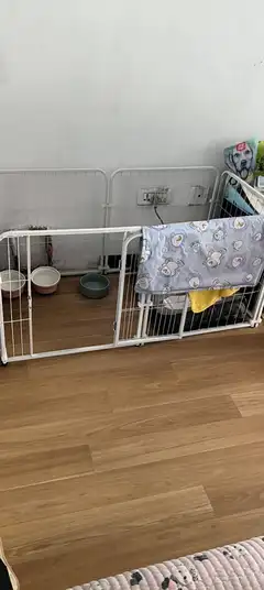 9成新狗笼40也可当猫笼