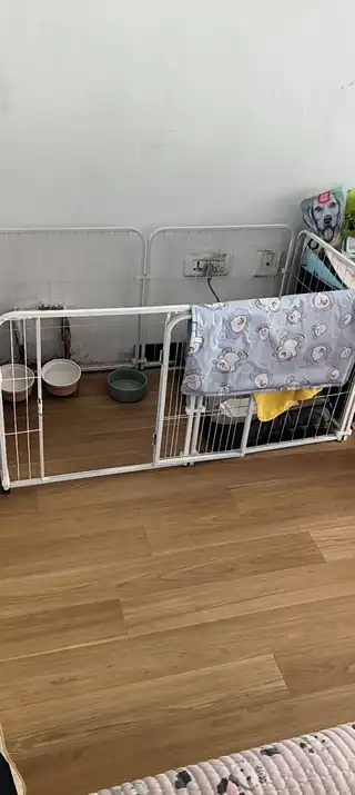 9成新狗笼40也可当猫笼