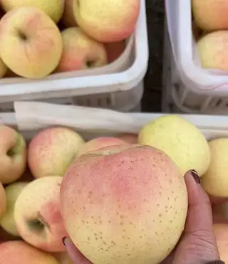 出售瓦房店驼山乡苹果🍎王林红富士送人嘎嘎好.量大可优惠，有需要的老板联系156****6961