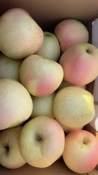 出售瓦房店驼山乡苹果🍎王林红富士送人嘎嘎好.量大可优惠，有需要的老板联系156****6961