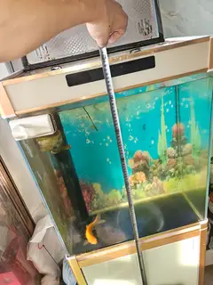 闲置鱼缸出售
