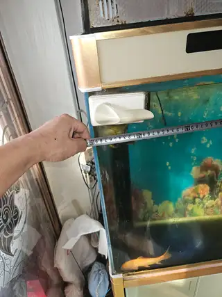 闲置鱼缸出售