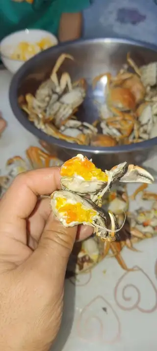 自己家的盘锦稻田蟹，有需要的朋友联系，电话159****8206，微信同步