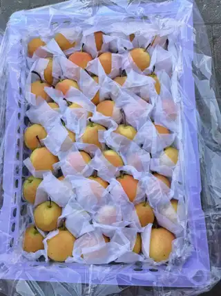 鞍山特产～海城南果梨🍐 批发、零售151****1721