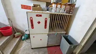 猫窝上下两层100元，东西在三堂，自取