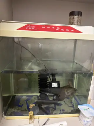 氧气什么都好用鱼也送50出