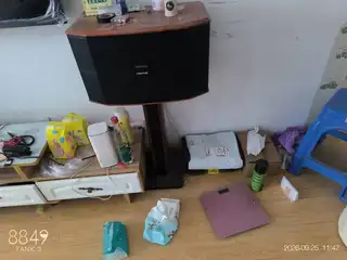 山水音响去年买的，没用几回声音太大，没办法卖了买时候6000+俩高音一个低音炮电话，微信同步