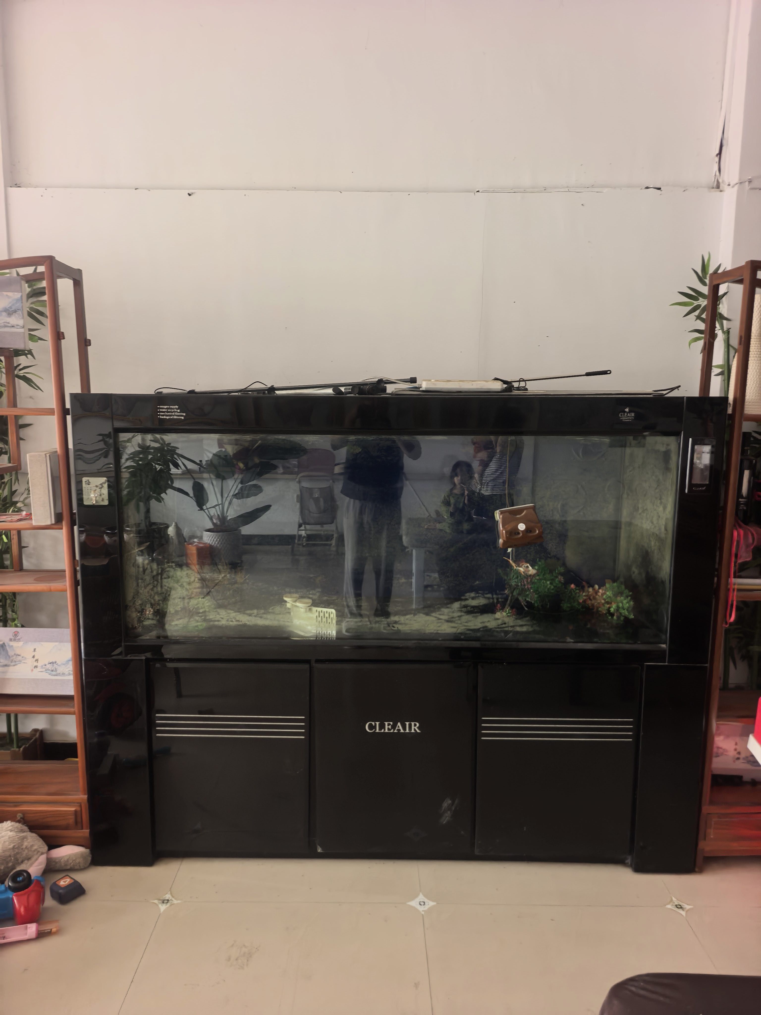 出售 按摩床，洗衣机，1.8*1.5大鱼缸，大茶座