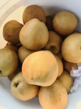 打个广告，感谢大家 老丈人自家桃园，无农药残留，无膨大剂，需要可以联系我 电话微信 138****5