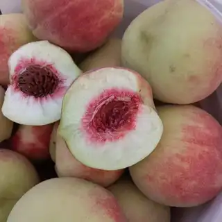 打个广告，感谢大家 老丈人自家桃园，无农药残留，无膨大剂，需要可以联系我 电话微信 138****5
