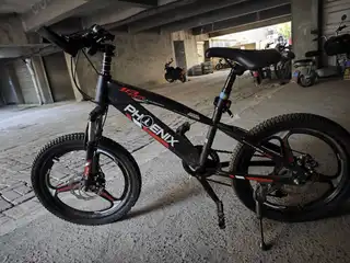 凤凰儿童山地自行车20寸 三堂凯立自提