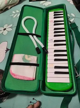 口风琴。葫芦丝。。。都是学生用的。