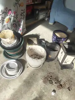 花盆 全部25元
