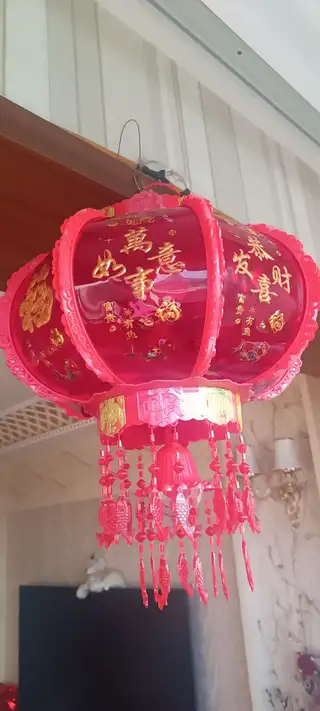 刚买的会转马蹄灯有点大，70多买的，还有一个狗笼子20